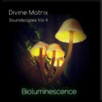 Divine Matrix - Bioluminescence