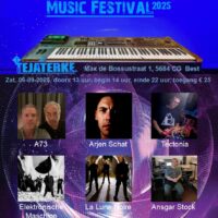 Dutch Electronic Masters Music Festival 2025 / Tickets