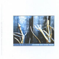 Spielerei & Mantacoup – Wichman And Other Pieces (2nd hand last copy)