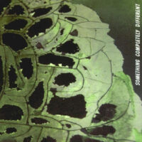 Something Completely Different – Megacatz (2nd hand last copy)
