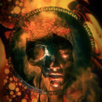 Djam Karet - The Devouring (Special Edition) (3CD)