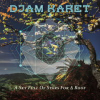 Djam Karet - A Sky Full Of Stars For A Roof (Vinyl)