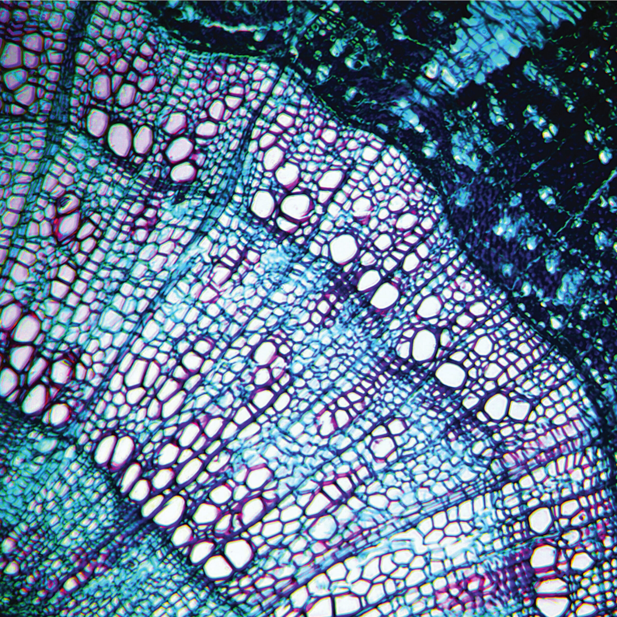 Bluetech - Petite Constellations