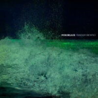 Roedelius - Wasser im Wind