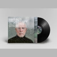 Harald Grosskopf - Glitches Brew (Vinyl)