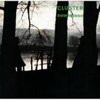 CLUSTER – Sowieso (50th Anniversary)
