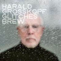 Harald Grosskopf - Glitches Brew