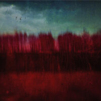 Ian Boddy & Markus Reuter - Colour Division (out of print)