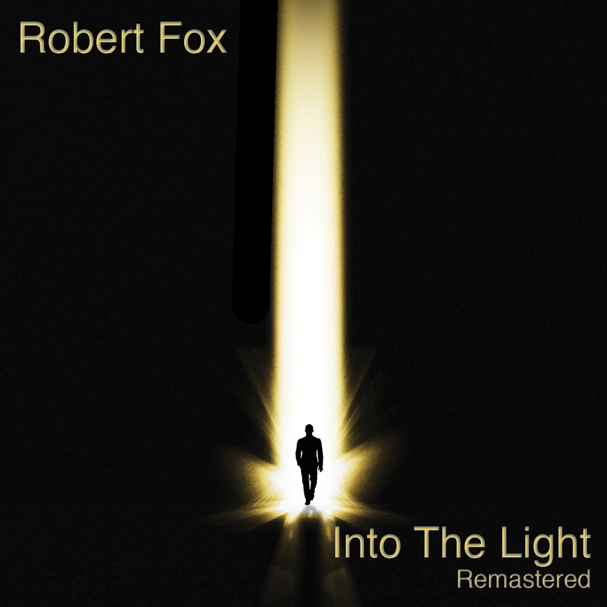 Robert Fox - Into the Light